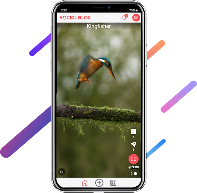 full width feature